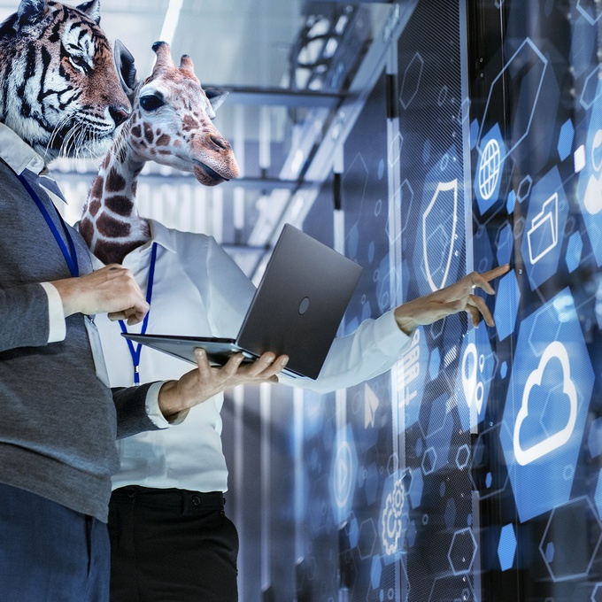 Configurer la collecte de logs en environnement AWS avec la CI/CD cover